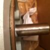 Brand new 20HP A.O. Smith electric motor, 400V, 380V, 460V - Image 2