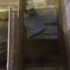 Laveuse à pression Shur-Kleen avec Pompe  Graco model 206-420 – Image 3