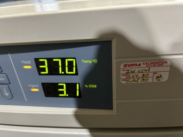 Thermo Forma model 3110 laboratory incubator - Image 9