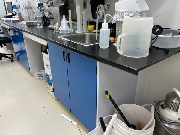 Laboratory counter top with sink